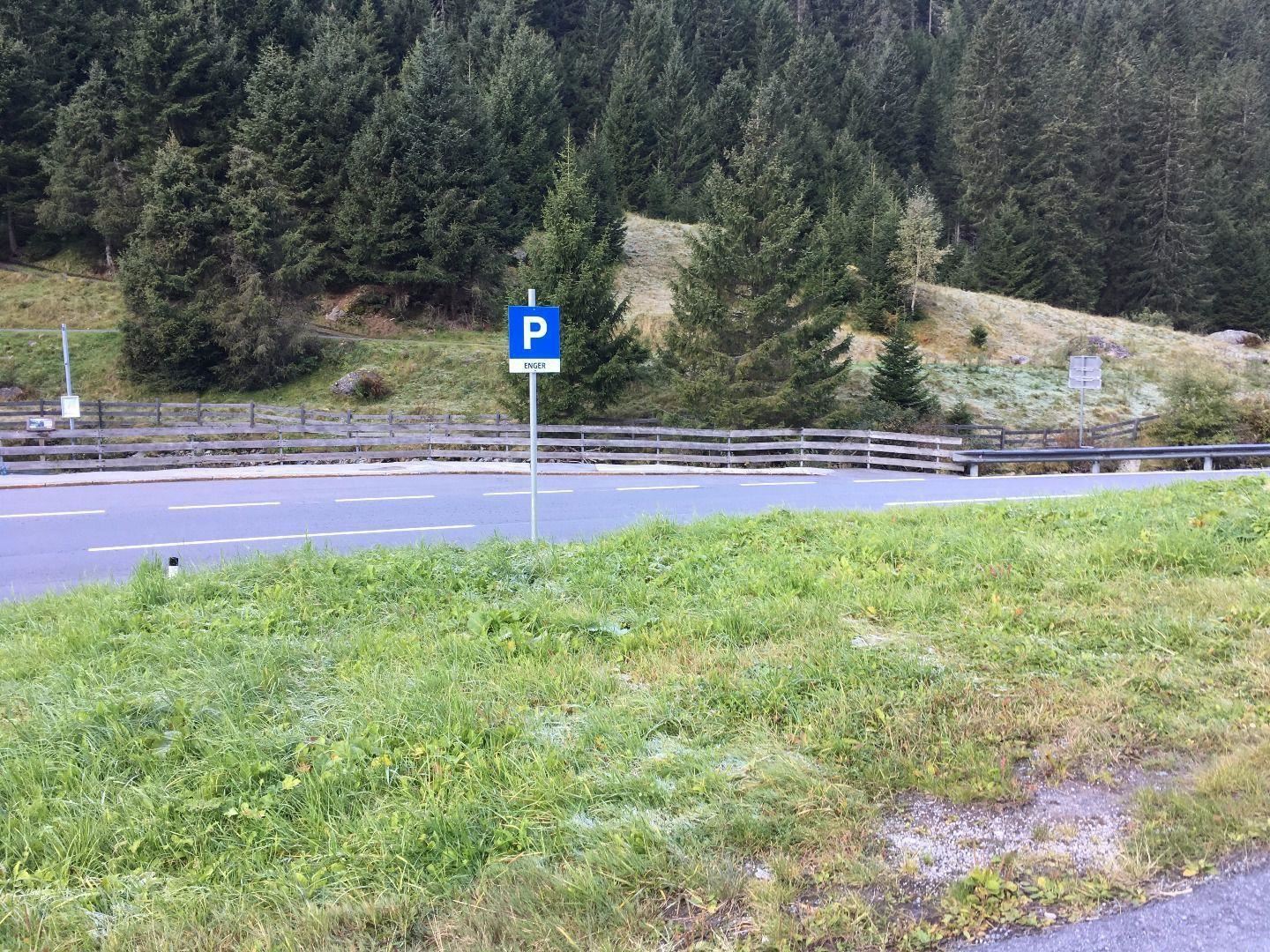Eine Parkfläche neben einer Straße, umgeben von Bäumen. Im Hintergrund ist eine grüne Wiese sichtbar.