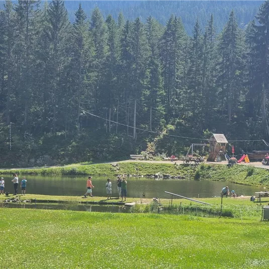 A green field with a small pond and several people enjoying the outdoors. In the background, trees and some buildings can be seen.