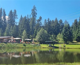A picturesque place by the lake surrounded by tall trees. In the background, an inn and outdoor seating can be seen.