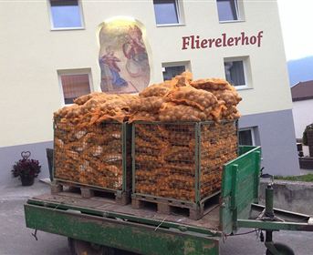 Flierelerhof