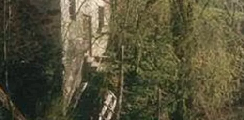 Ein altes, verlassenes Haus umgeben von Bäumen und Grün. Der Weg führt sanft zur Gartenfläche.