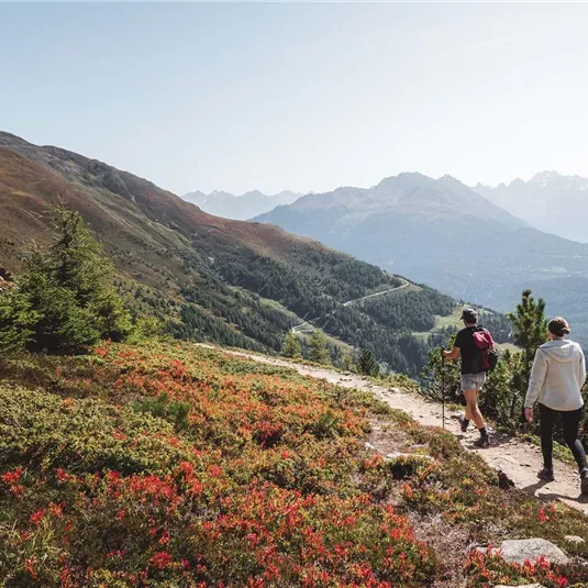 Two hikers walk along a path in the mountains. The landscape is green with colorful flowers and impressive mountain peaks in the background.