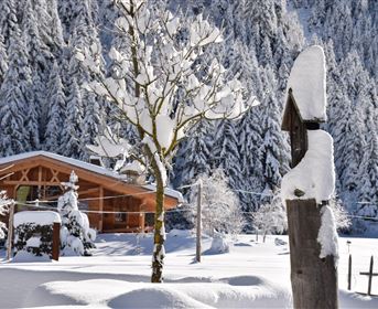 Ein charmantes Holzhaus in einer verschneiten Landschaft. Der Baum und die Umgebung sind von einer dicken Schneeschicht bedeckt.