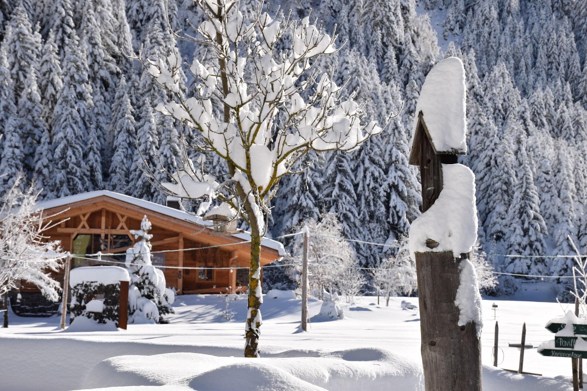 Ein charmantes Holzhaus in einer verschneiten Landschaft. Der Baum und die Umgebung sind von einer dicken Schneeschicht bedeckt.