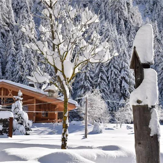 Ein charmantes Holzhaus in einer verschneiten Landschaft. Der Baum und die Umgebung sind von einer dicken Schneeschicht bedeckt.