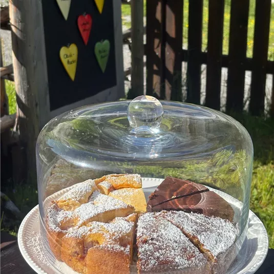 Eine Tortenplatte mit verschiedenen Kuchenstücken, die unter einer Glasglocke stehen. Im Hintergrund sind farbige Herzen an einer Tafel zu sehen.