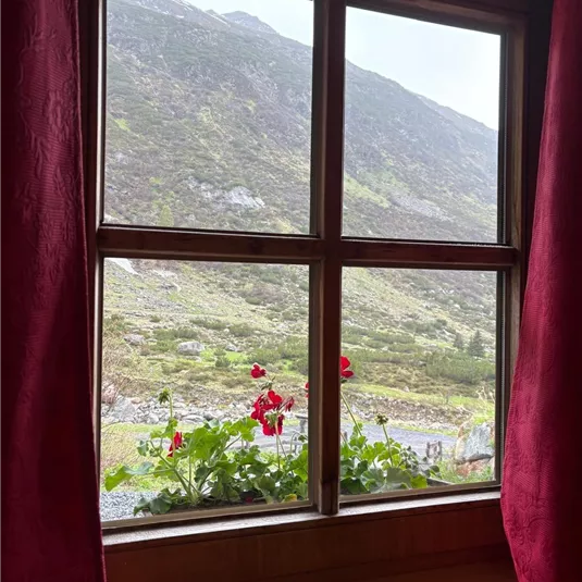 Ein Fenster mit Blick auf eine grüne Berglandschaft. Im Vordergrund sind rote Blumen auf der Fensterbank zu sehen.