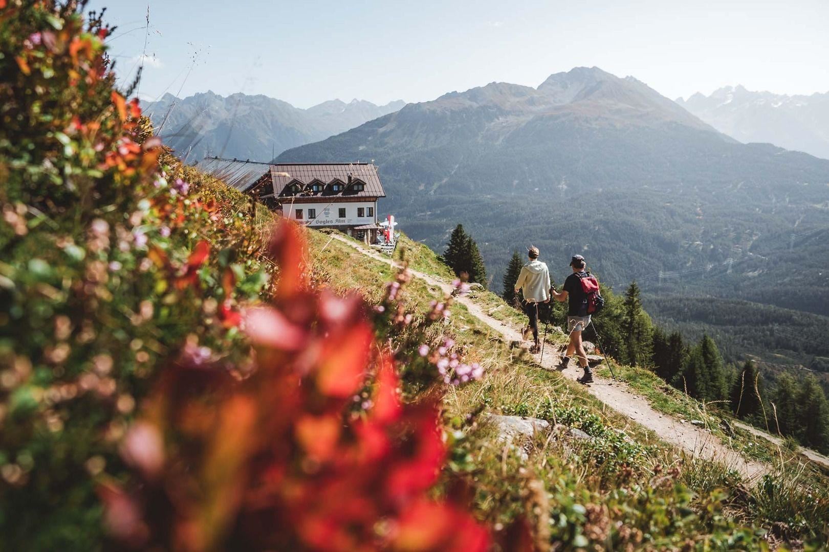 Two hikers enjoy the view of the mountains. In the foreground, colorful flowers and a cozy chalet can be seen.