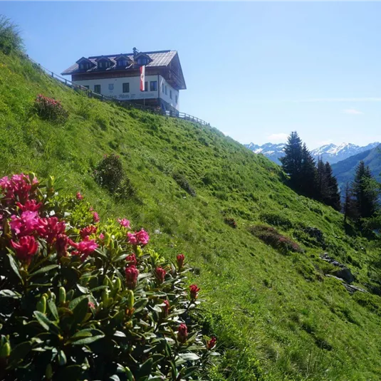 A beautiful house on a green slope with colorful flowers in the foreground. In the background, the mountains and a clear blue sky are visible.