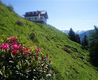 A picturesque house on a green meadow with colorful rhododendrons in the foreground. In the background, majestic mountains and a blue sky can be seen.