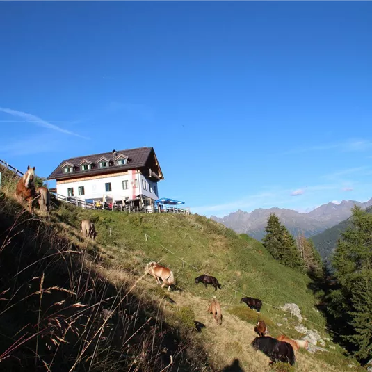 A cozy mountain cabin with a clear sky in the background. Cows are peacefully grazing on the green meadow.