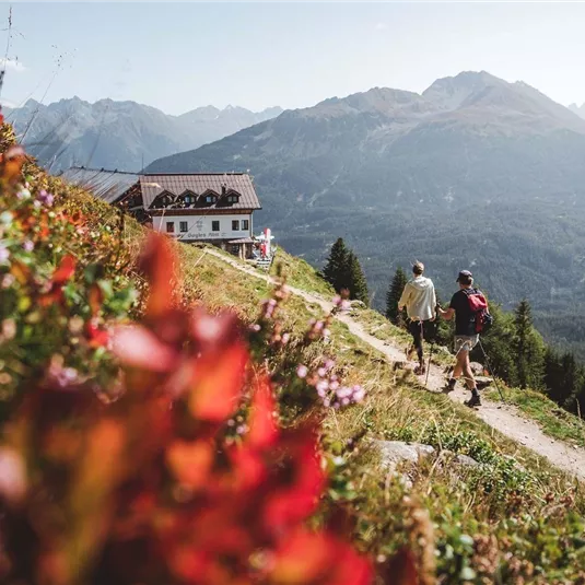 Two hikers enjoy the view of the mountains. In the foreground, colorful flowers and a cozy chalet can be seen.
