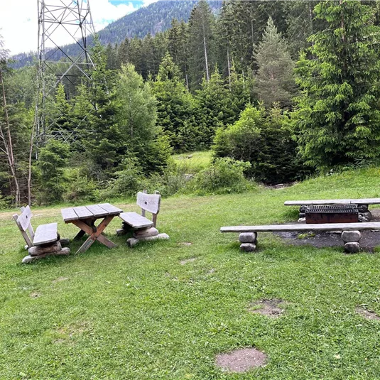 A beautiful spot in nature with wooden tables and benches.  
Surrounded by green trees and meadows, ideal for a picnic.