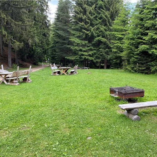 A green open field surrounded by tall trees. There are picnic benches and a barbecue area.