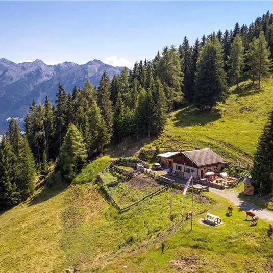 Eine abgelegene Hütte inmitten von grünen Wiesen und dichten Nadelbäumen. Im Hintergrund sind majestätische Berge zu sehen.