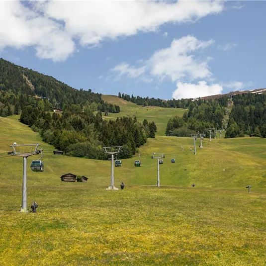 Eine grüne Wiese in den Bergen mit Sesselliften. Im Hintergrund sind bewaldete Hänge und ein blauer Himmel zu sehen.