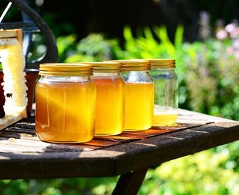 Honey