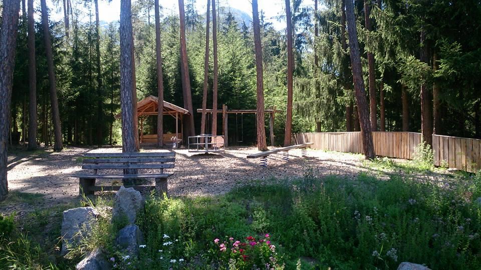 A quiet forest spot with a wood shelter and a cabin. Meadows are blossoming with flowers all around, and tall trees provide shade.