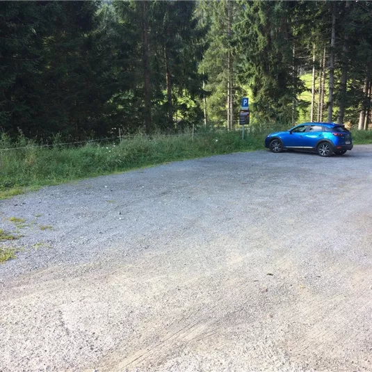 Ein schmaler Parkplatz in einem Waldgebiet mit einem blauen Auto. Umgeben von Bäumen und grüner Vegetation.