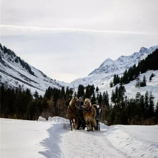 Ein ruhiger Wintertag mit Pferden, die durch verschneite Landschaften ziehen. Im Hintergrund sind majestätische Berge und Bäume sichtbar.