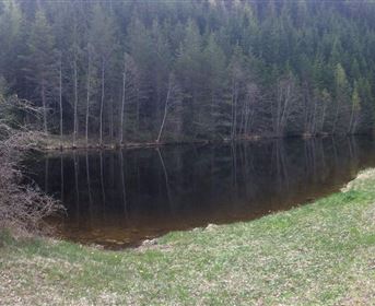 Landschaftsteich Piller