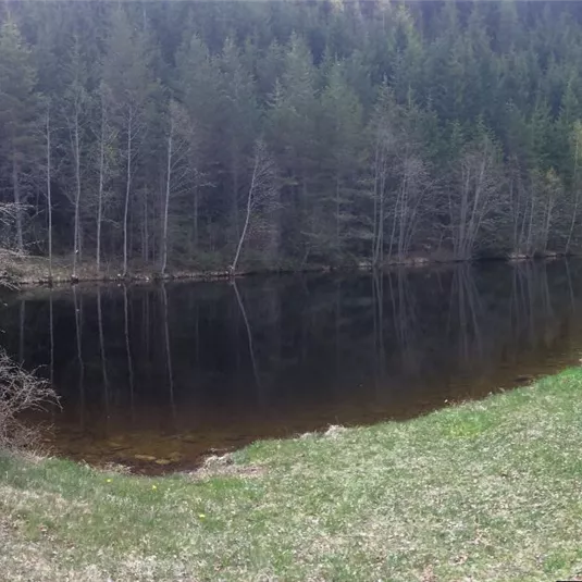 Landschaftsteich Piller