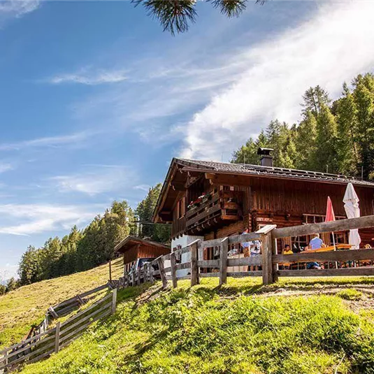 Leiner Alm