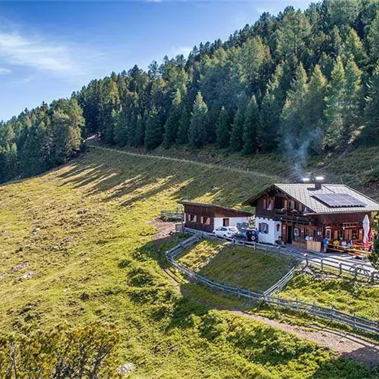 Eine Almhütte umgeben von grünen Wiesen und hohen Bäumen. Im Hintergrund sind sanfte Hügel und ein klarer Himmel zu sehen.