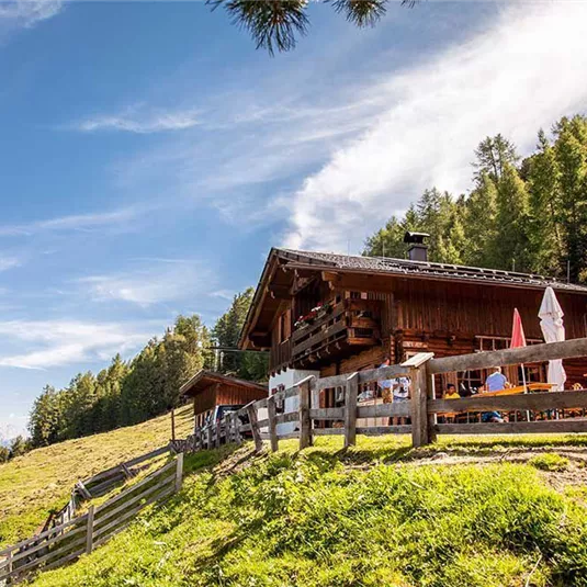 Leiner Alm