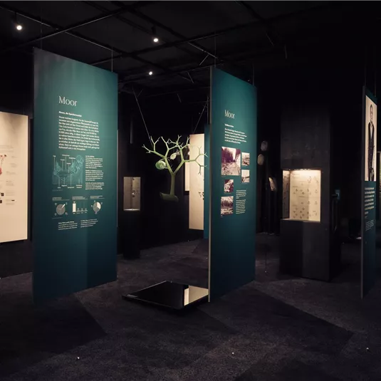 Ein Ausstellungsraum mit mehreren Informationswänden und einem modernen Design. Der Raum ist schwach beleuchtet und zeigt verschiedene Erklärungen und Grafiken.