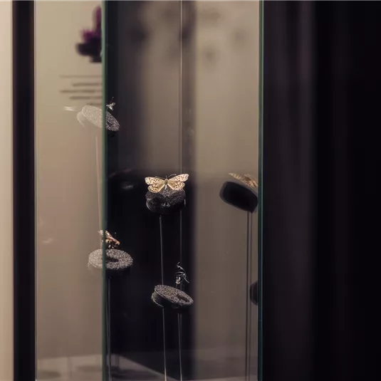 Ein elegantes Vitrinenset mit Schmuckstücken, darunter ein Schmetterling. Der Hintergrund ist neutral und hebt die Stücke hervor.