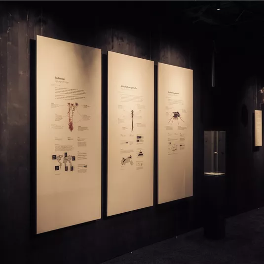Eine Ausstellung mit Informationstafeln an einer dunklen Wand. Im Vordergrund steht ein Glasdisplay.