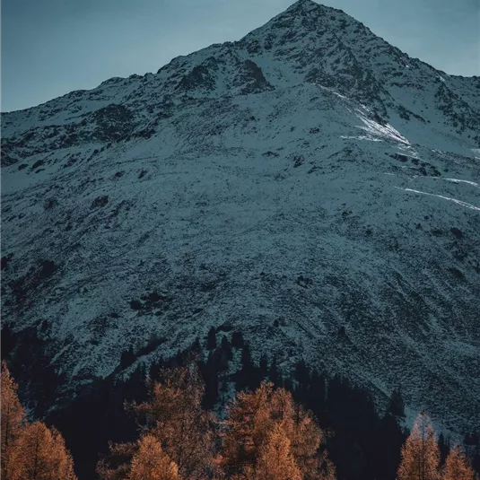 Ein majestätischer Berg mit schneebedecktem Gipfel und herbstlichen Bäumen im Vordergrund. Die Szene strahlt Ruhe und natürliche Schönheit aus.