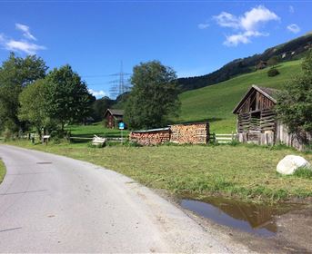 Eine ländliche Szene mit einer Straße, umgeben von grünen Wiesen und Bäumen. Im Hintergrund sind einige Holzstapel und traditionelle Gebäude zu sehen.