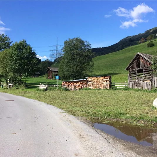 Eine ländliche Szene mit einer Straße, umgeben von grünen Wiesen und Bäumen. Im Hintergrund sind einige Holzstapel und traditionelle Gebäude zu sehen.