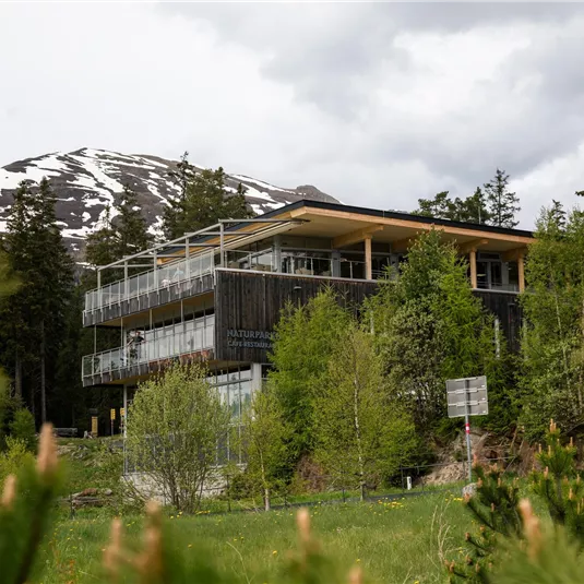 A modern building with large windows is surrounded by green trees. Snow-capped mountains can be seen in the background.