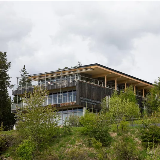 Ein modernes Gebäude, umgeben von Bäumen und Grün, liegt auf einem Hang. Der Himmel ist bewölkt und verleiht der Szene eine ruhige Atmosphäre.