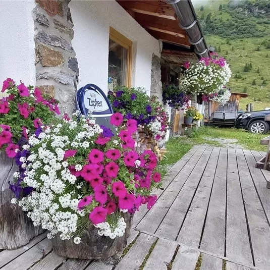 Bunte Blumen in Blumentöpfen schmücken den Eingangsbereich eines Gebäudes. Der Holzsteg lädt zum Verweilen ein.