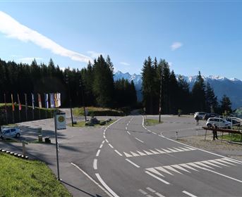 A picturesque viewpoint in the mountains with a clear road and green meadows. In the background, snow-capped peaks and forests can be seen.