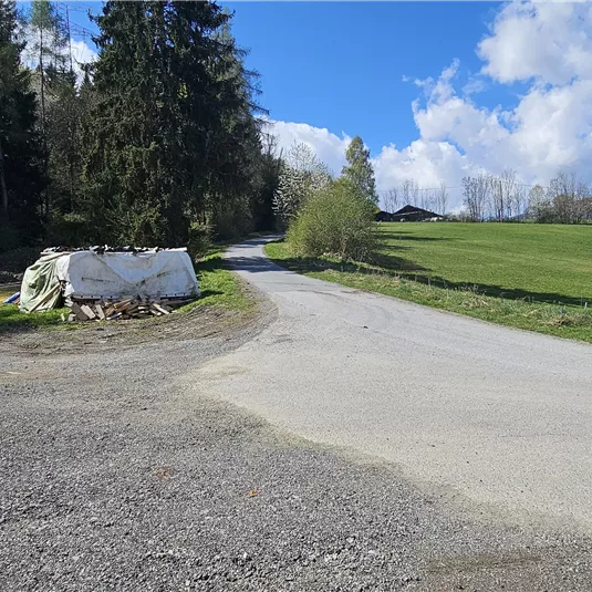 c-tvb-pitztal-karin-lugsteiner-parkplatz-fussballplatz-wald-20260421_111931.jpg