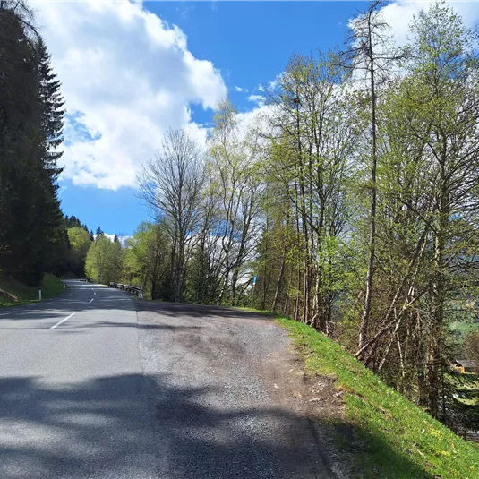 Eine kurvenreiche Straße umgeben von Bäumen und frischem Grün. Der Himmel ist teilweise bewölkt und blau.
