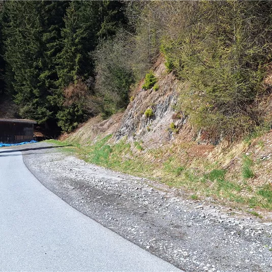 A winding road surrounded by trees and rocks. In the background, there is a wooden building.