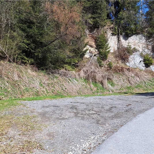 A peaceful landscape with wooded hills and a paved path. In the background, rocks and lush grass can be seen.