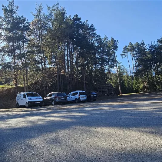 Ein Parkplatz mit mehreren Autos und umgebenden Bäumen. Der Himmel ist klar und die Sonne scheint.