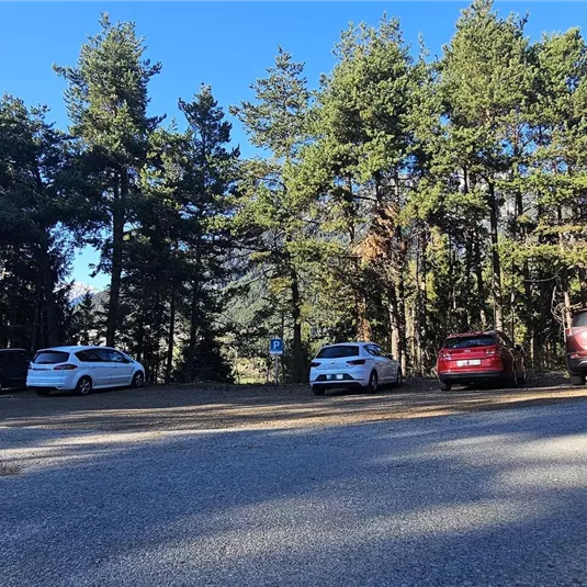 Ein Parkplatz mit mehreren Autos, umgeben von hohen Bäumen. Der Himmel ist klar und blau.