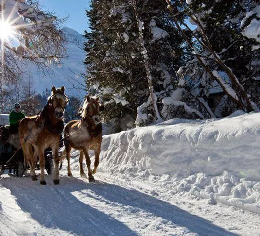 Schneebedeckte Landschaft mit einem Pferdeschlitten. Die Sonne scheint hell über die Bäume.