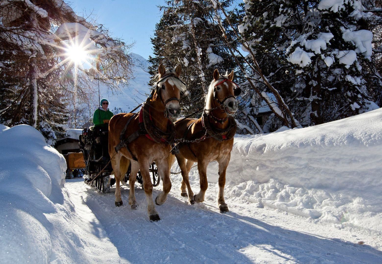 Eine verschneite Landschaft mit zwei kräftigen Pferden, die eine Kutsche ziehen. Die Sonne strahlt hell durch die Bäume im Hintergrund.