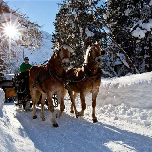 Eine verschneite Landschaft mit zwei kräftigen Pferden, die eine Kutsche ziehen. Die Sonne strahlt hell durch die Bäume im Hintergrund.