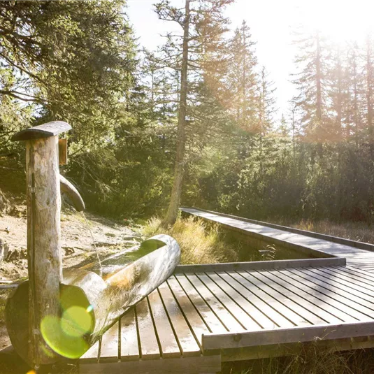 A wooden walkway leads through a quiet, green landscape. The sun is shining bright, creating a pleasant atmosphere.