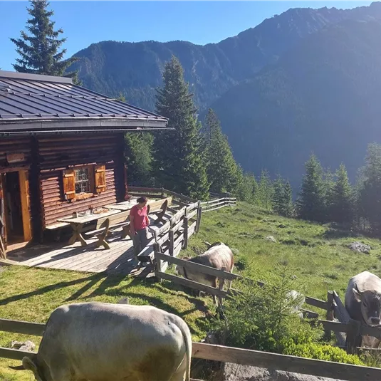 Eine gemütliche Berghütte umgeben von Wiesen und Bäumen. Im Vordergrund grasen Kühe und die Berge sind im Hintergrund sichtbar.